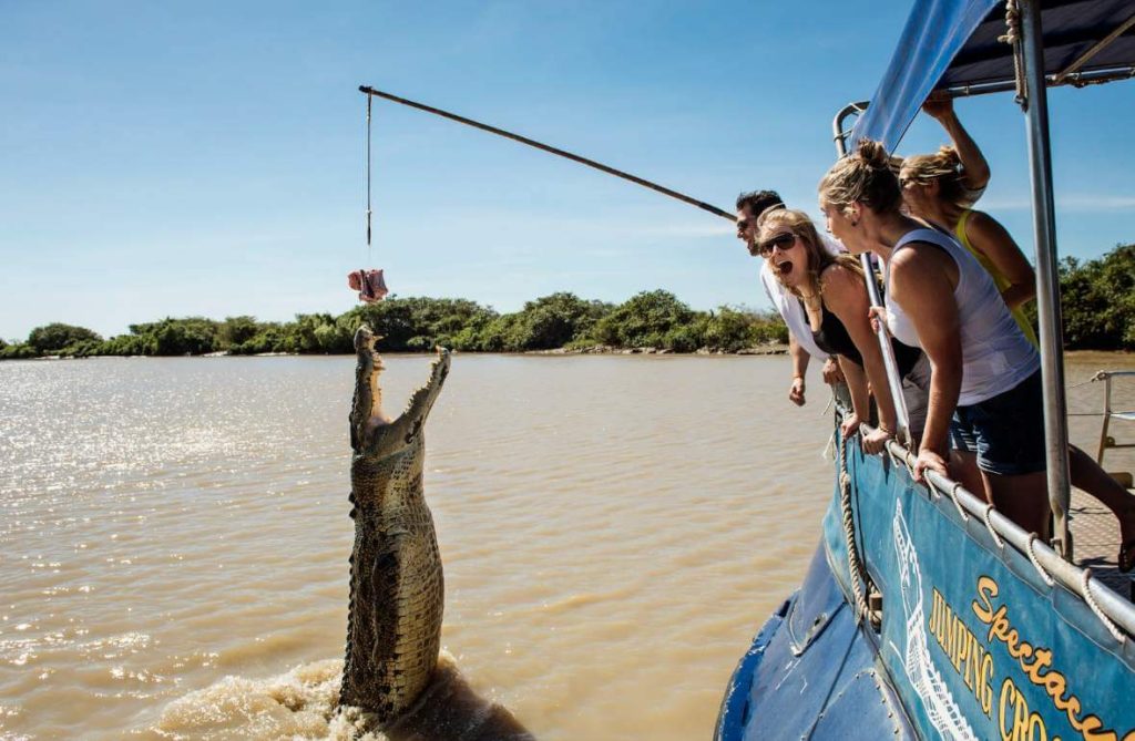 adelaide-river-jumping-crocodile-tour-top-end-experience-darwin-must-see