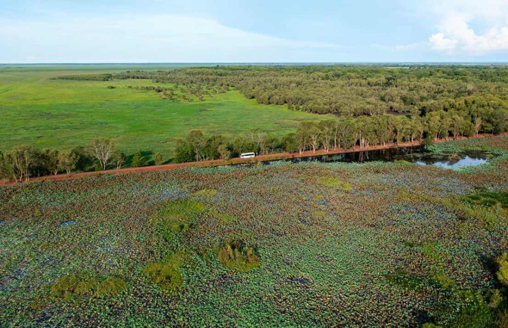 litchfield-national-park-day-tour-waterfalls-swimming-darwin-itinerary
