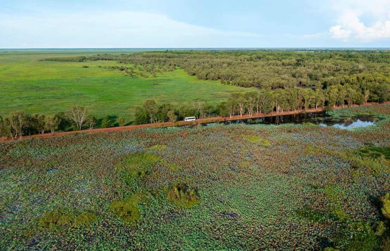 aboriginal-culture-discovery-tour-litchfield-national-park-darwin-tours