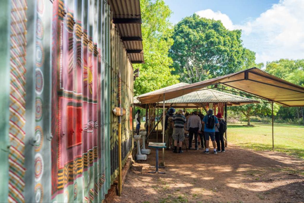 tiwi-islands-aboriginal-cultural-tour-darwin-day-trip-ferry-experience