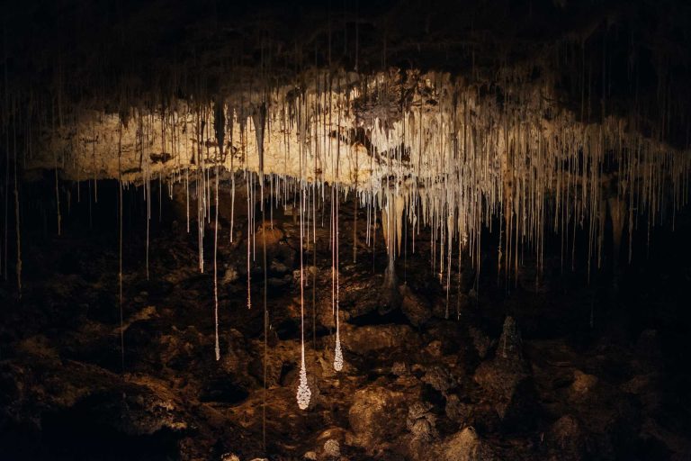 road-trip-stop-margaret-river-caves-nature-experience