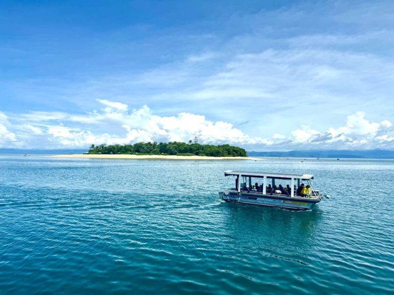 snorkelling-low-isles-small-group-sailing-tour-reef-experience