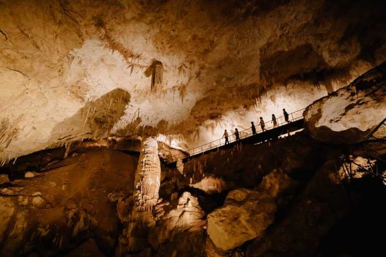 augusta-show-cave-guided-tour-wildlife-geology-history